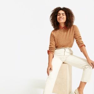 Everlane ReCashmere Vintage Crew (Spiced Chai)
